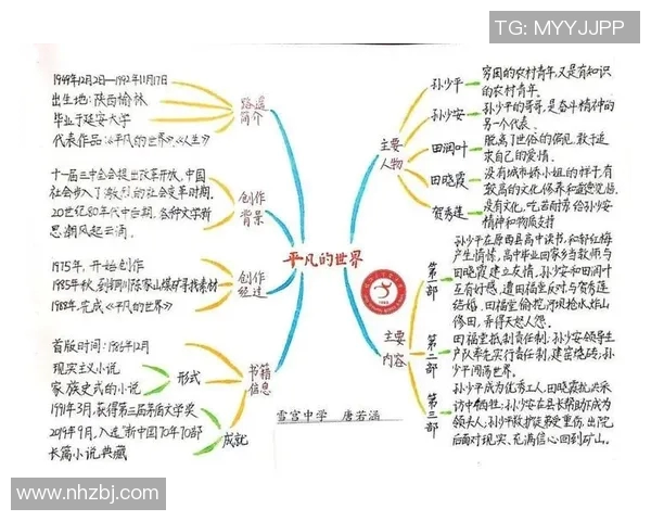 焦泊乔的成长之路：从平凡少年到璀璨明星的奋斗故事